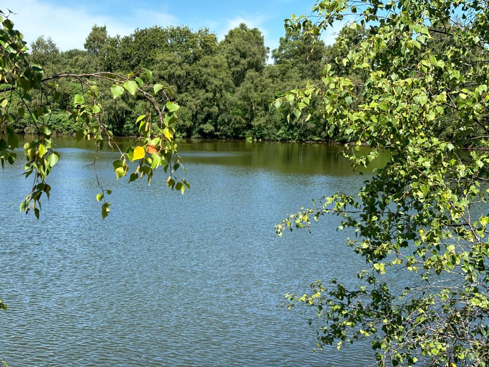 The Annexe At Gomo Villa East Winch Kültér fotó